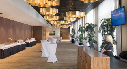 Vspahotel konverents fuajee 3
