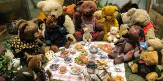 bear collection