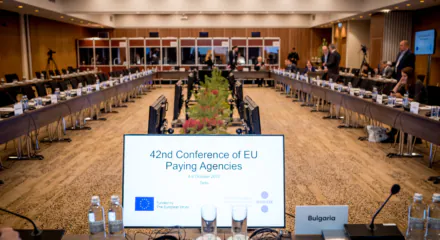 Eesti Euroopa Liidu eesistuja 2017. Eesti identiteet ehitati ules kahele narratiivile looduslahedus ja uuenduslik digiuhiskond. Koostoos sundis vaga originaalne konverentsisaal